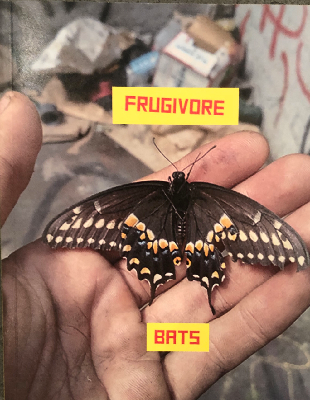 Eloy Arribas l Frugivore Bats